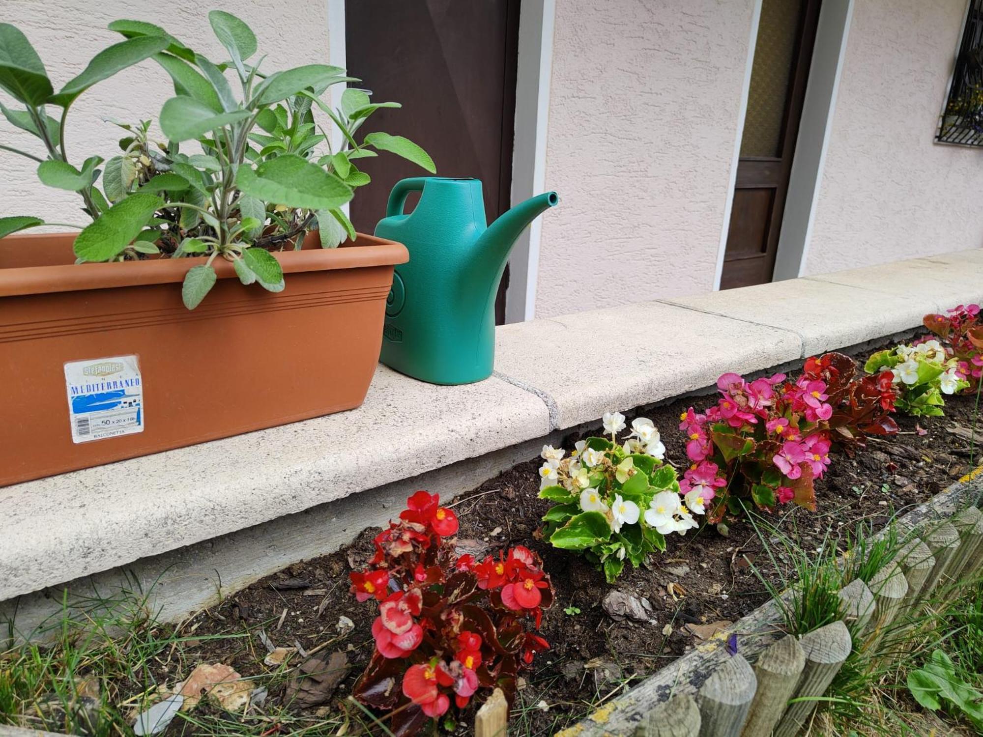 Apartment Da Costantino *