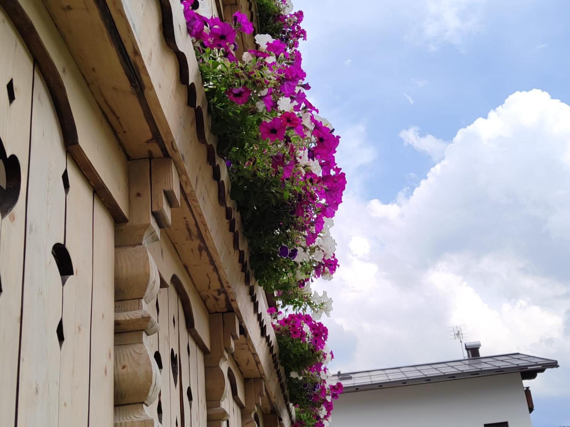Apartment Da Costantino Padola